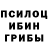 Псилоцибиновые грибы Psilocybine cubensis Ayida Malabekova