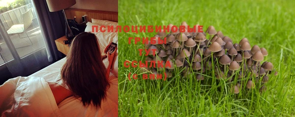 герыч Медвежьегорск