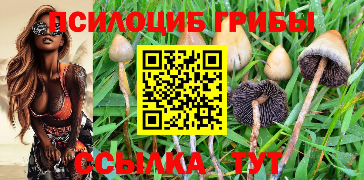 Псилоцибиновые грибы Magic Shrooms  Вход с VPN  Галлюциногенные грибы GOLDEN TEACHER  Рубцовск 